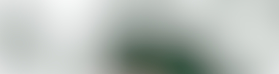 Association African Solidarité France