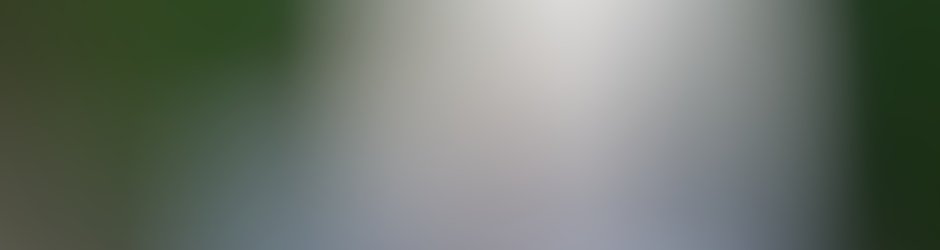 Gane Dinero Diario Carlos Jaramillo