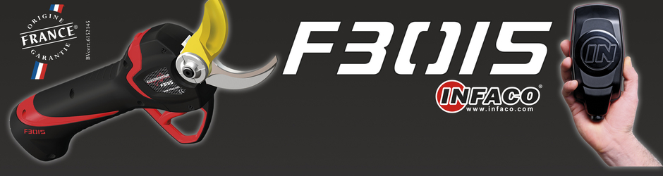 INFACO - Davy DELMAS