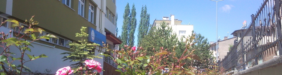 SİVAS - MERKEZ Selçuk Ortaokulu