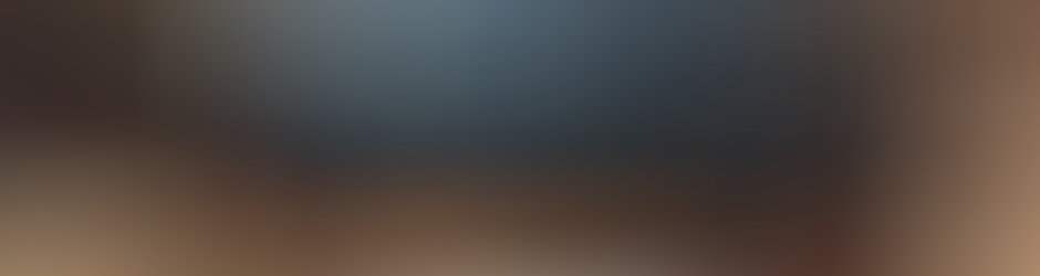 NCODS ShinMega Fansub