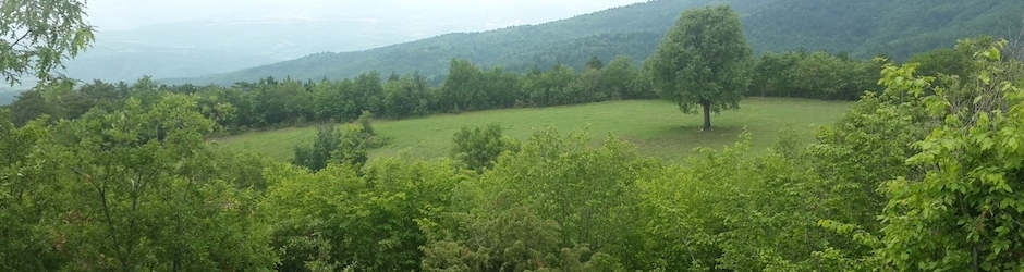 BIÇAKÇILI Halit AKCAN