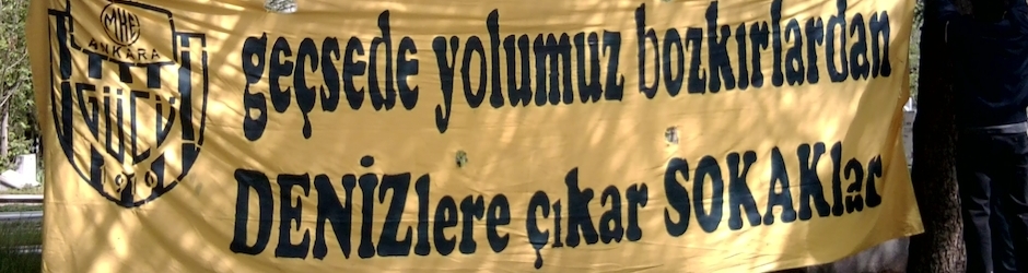 Banu Kızıltan(Bıçakcı)