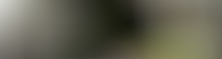 ASSOCIATION PARAY RANDO