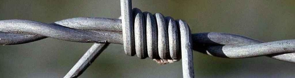 Barış İçin Aktivite