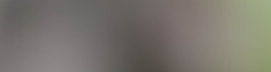 Wolfgang Höckendorf