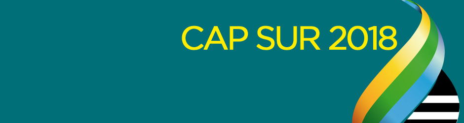 Route du Rhum - Destination Guadeloupe