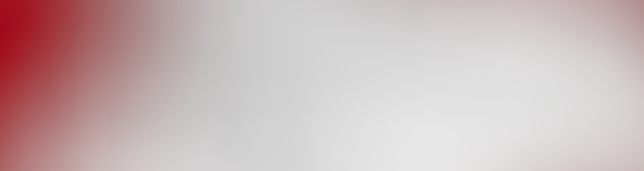 Anne Front de Gauche - Parti de Gauche et Alternat