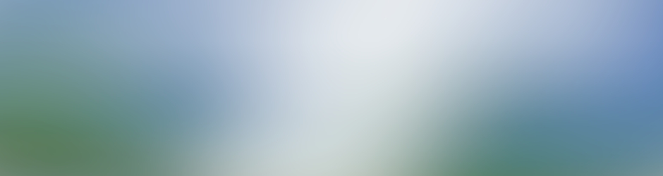 Diocèse de Bayonne Lescar et Oloron