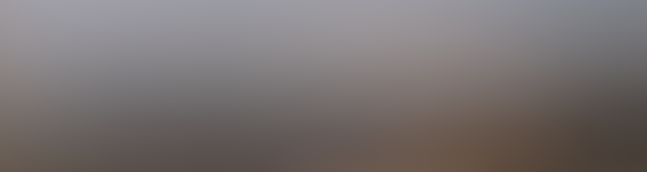 Marie ASSOCIATION ANIMATION TRAIZE