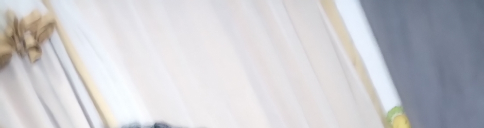 paula chaves VIDEOS DAILYMOTION