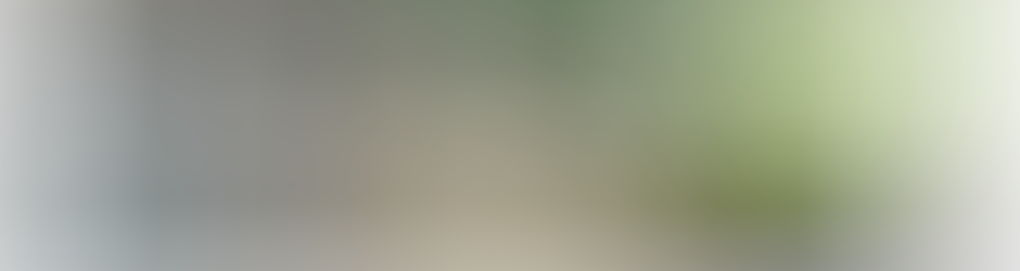 L'Institut d'Esthétique, et de Poétique