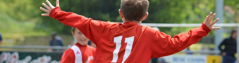 Ligue Auvergne-Rhône-Alpes de Football