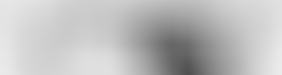 APM   Association pour la Pratique Martiale