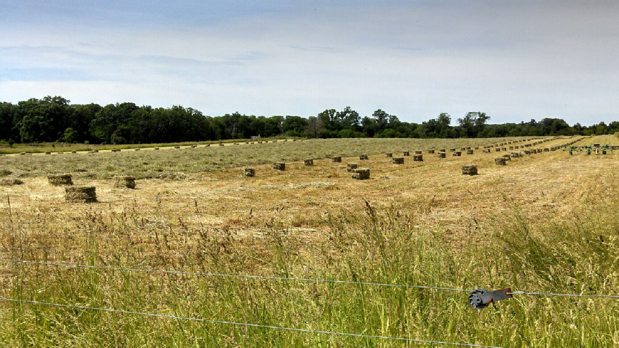 Nokesville Gassett Home Videos