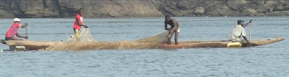 coopérative des pêches de l'Oubangui-Mpoko