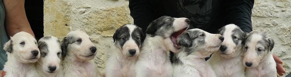 Françoise Bourrasset