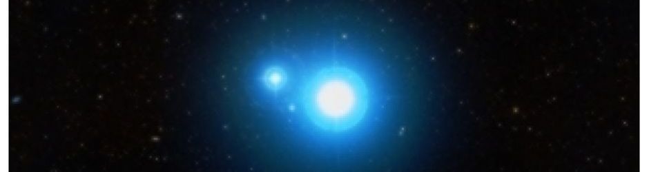 Liliana Paraschiv-Dumitru