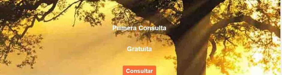 Abogados en Sevilla EyS