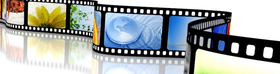 Елена Литвиненко