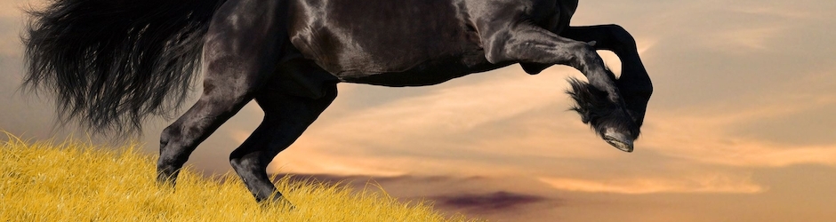 Ömer Faruk Özdemir