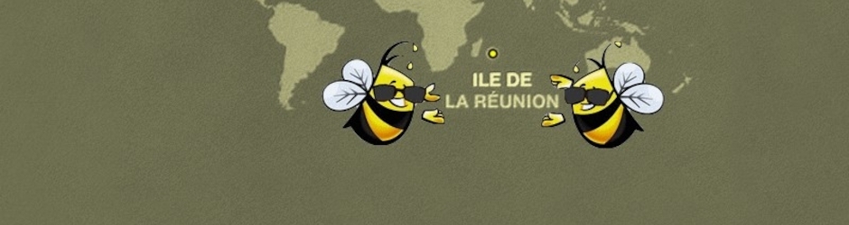 TV2BEES on *NBBC*st@tion