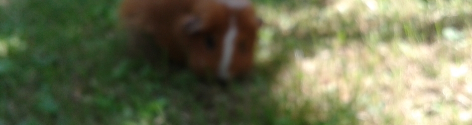 La Maison Bleue (et ses environs)