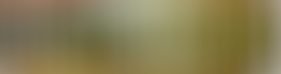 TheworldofBodycombat Bodycombat