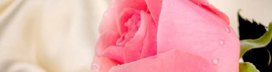 Marie-Christine Viguier