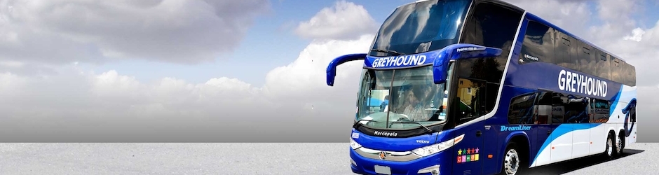 greyhoundtrans