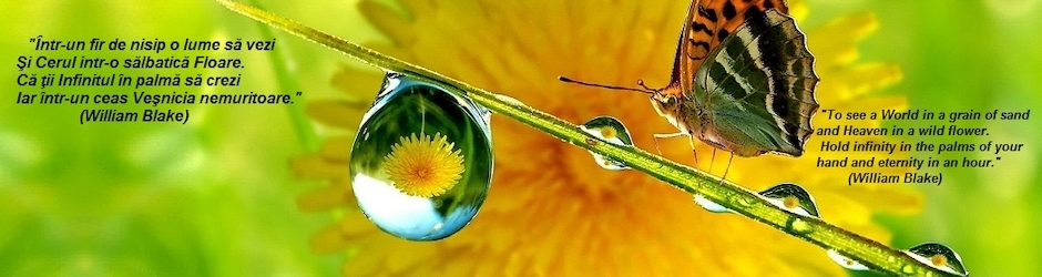 DrCristian Cirstocea