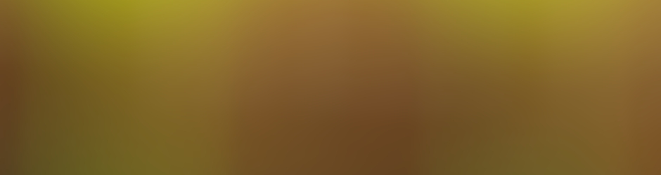 Julien Dupré de Baubigny