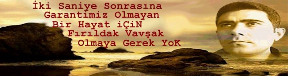 TC Murtaza Yavuz  (MEZARCI)