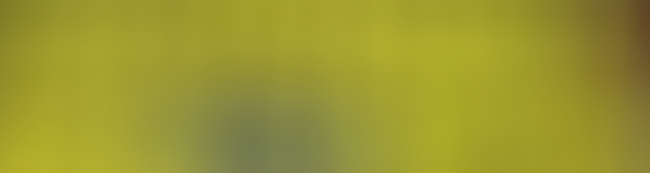 Asier Aitor Huarte Esteban