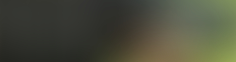 Александар Џ. Илиев