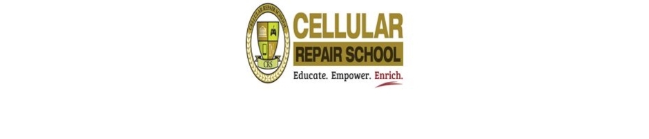 Cellular Repair School