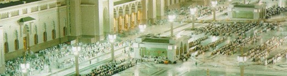 ربيع ابوالعنين