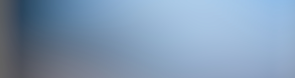 Coccinelle Dellamonica