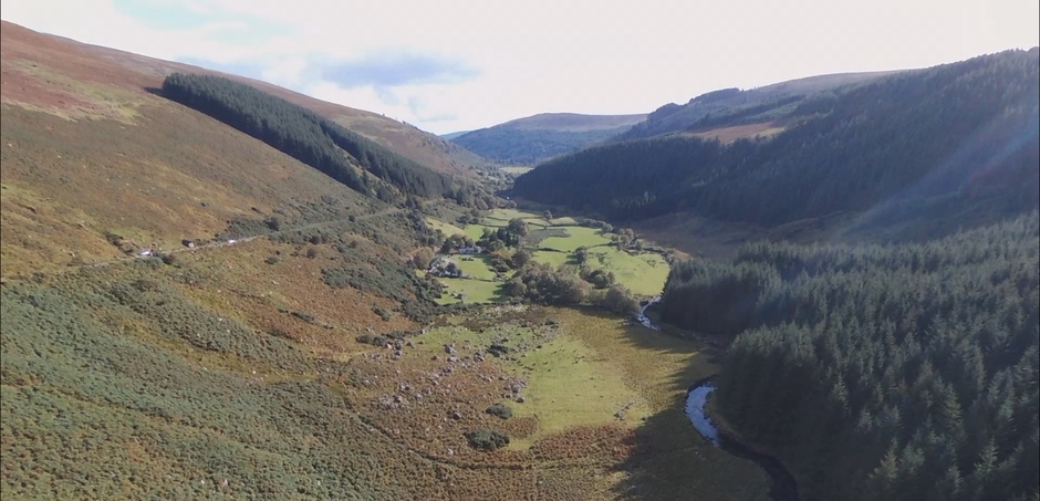 Trevor Quinn Photography