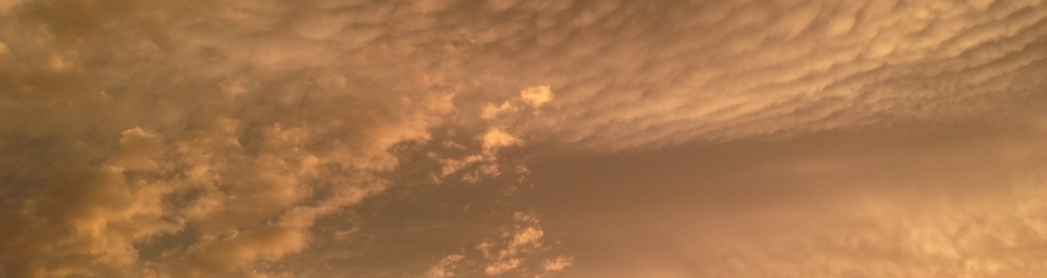 Веселин Гарабитов