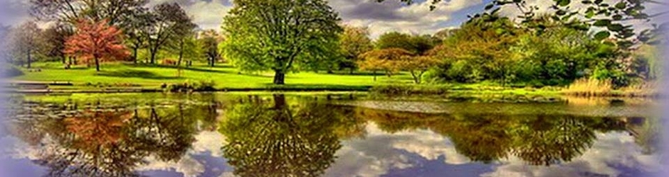 MeLekce Hüzün Yağmurları