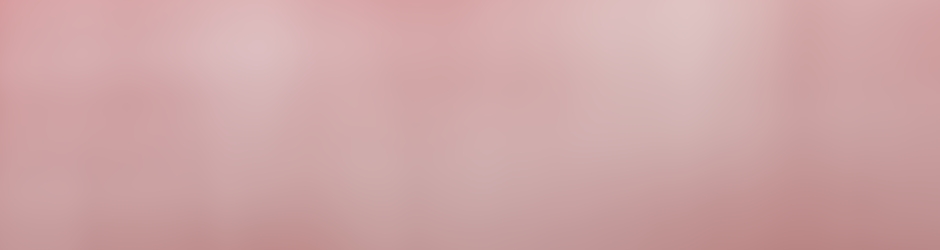 Front de Gauche Mériel