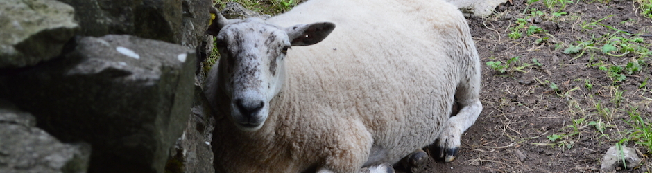 onadarkdeserthighway