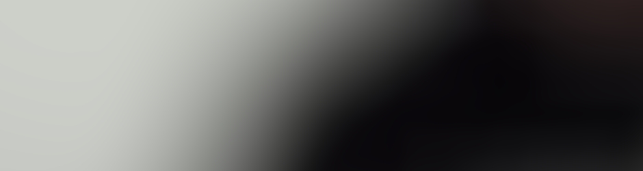 Fernando Prada Miguelez