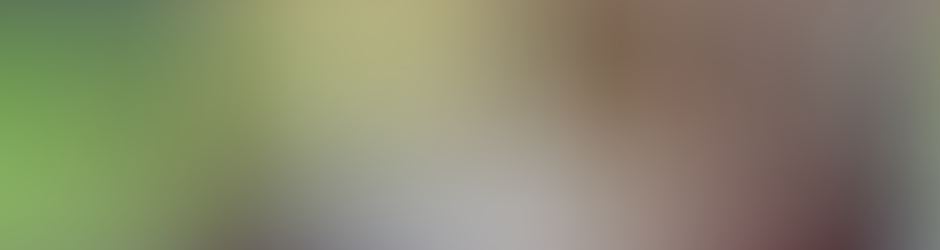 Alejandro Gonzalez Gala