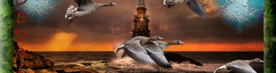 Claire Coeckelberghs