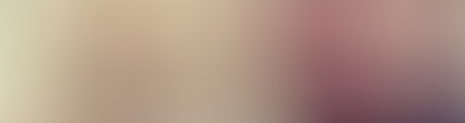 ป๊อย โทกุกาว่า