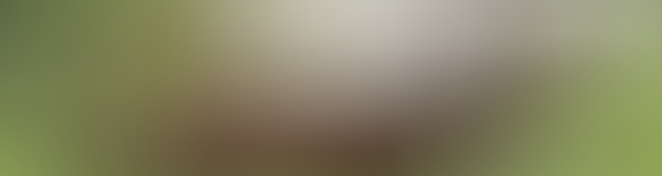 Danièle Daniele Dirou