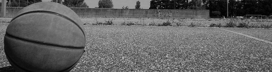 basket developpement PACA