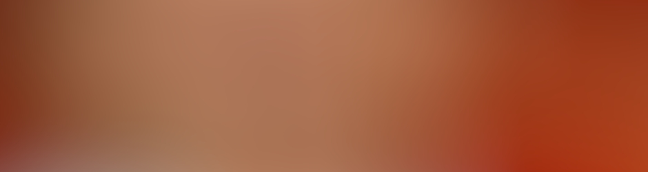 Sayed Fida Hussain Shah